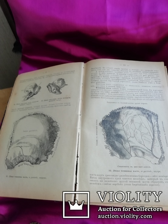 Анатомический атлас 1899 года, фото №10