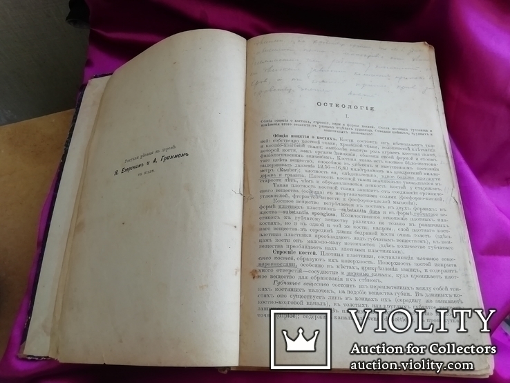 Анатомический атлас 1899 года, фото №11