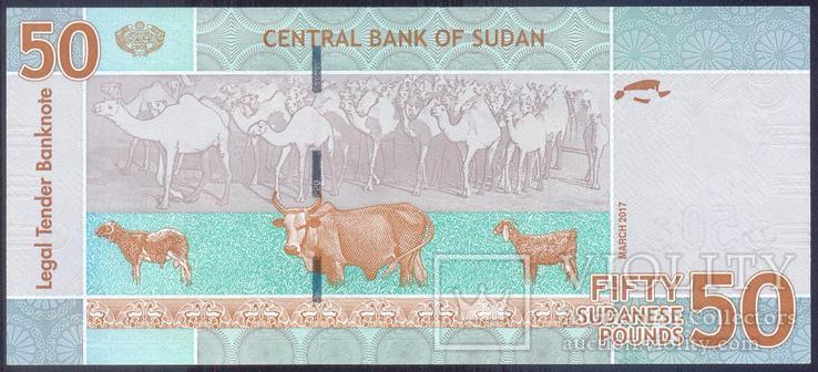 Судан - 50 фунтов 2017 - P75 - UNC, Пресс, фото №4