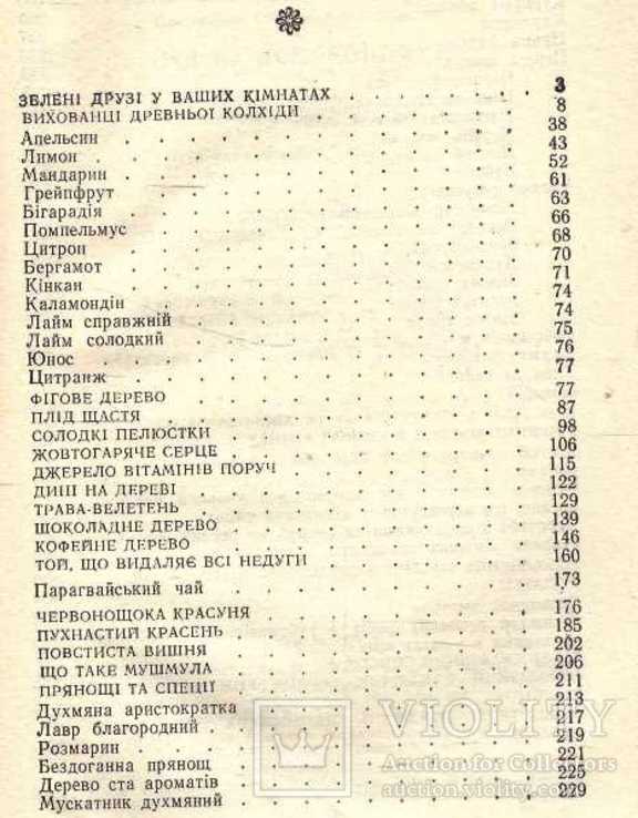 Сад на підвіконні.1990 г, фото №5