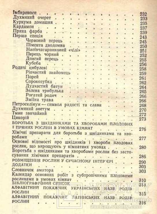 Сад на підвіконні.1990 г, фото №6