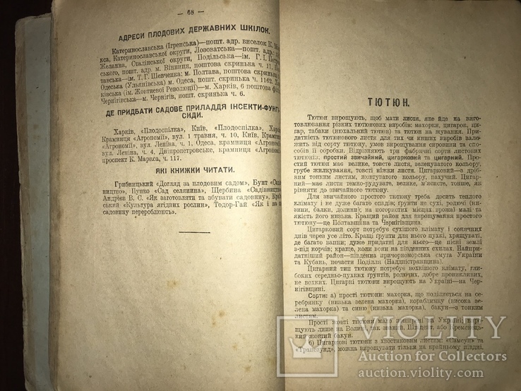 1928 Пасіка Хміль Тютюн Поради українському селянинові, фото №5