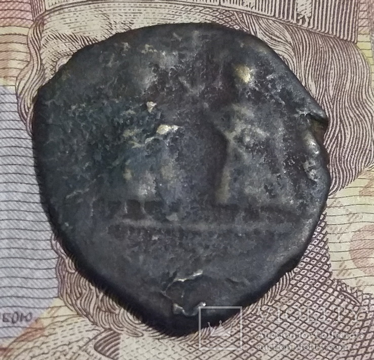 Херсонес, Юстин II (565-578). 8 пентануммий, медь., фото №11