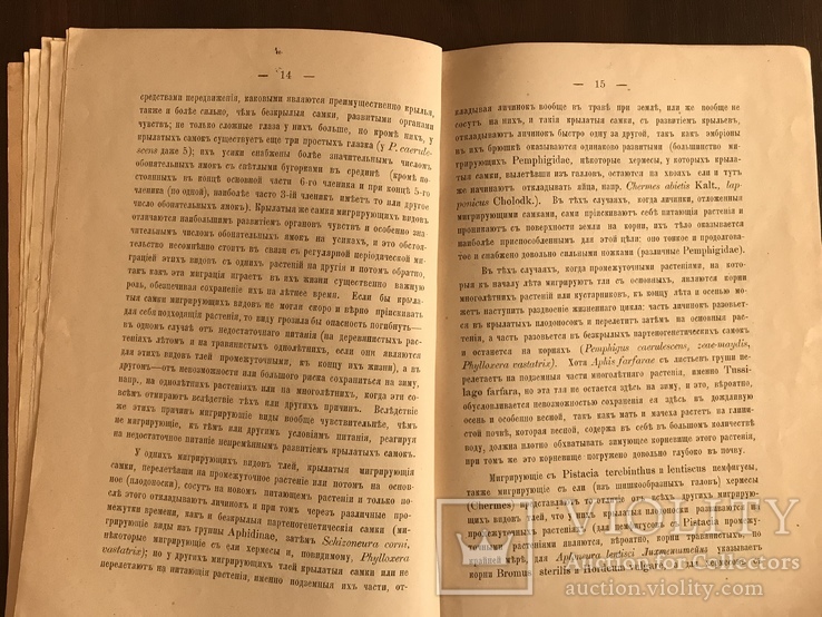 1898 Автограф автора Александра Мордвилко- профессору Брандту, фото №11