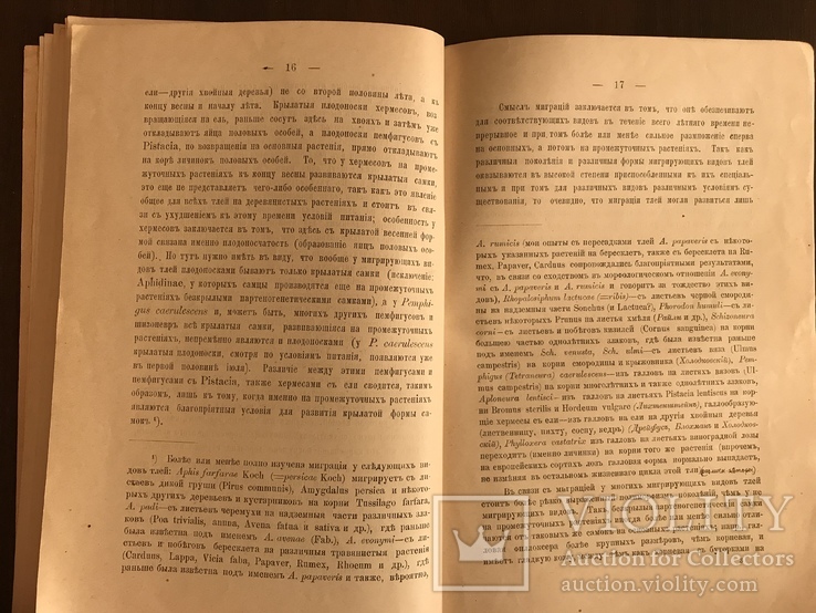 1898 Автограф автора Александра Мордвилко- профессору Брандту, фото №12