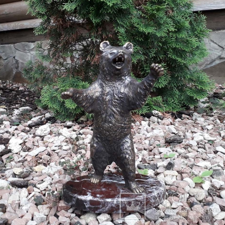 Медведь бронза (Bear bronze), фото №3