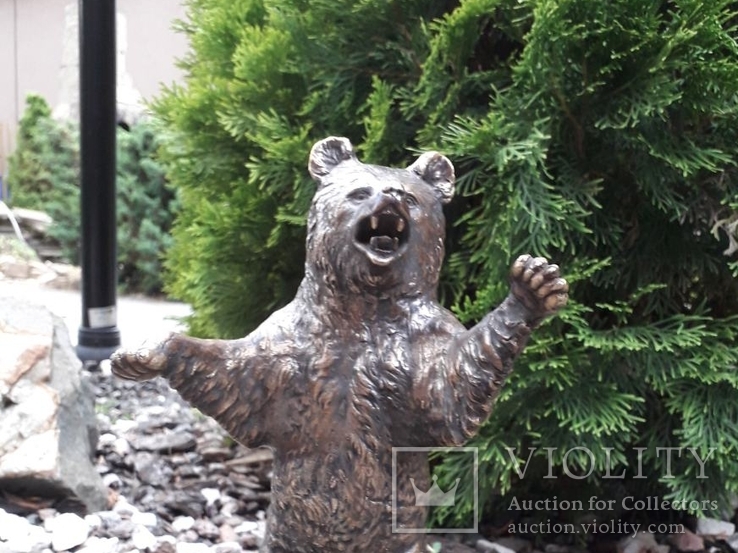 Медведь бронза (Bear bronze), фото №5