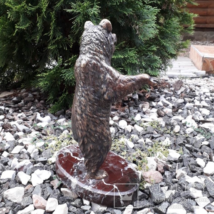 Медведь бронза (Bear bronze), фото №6