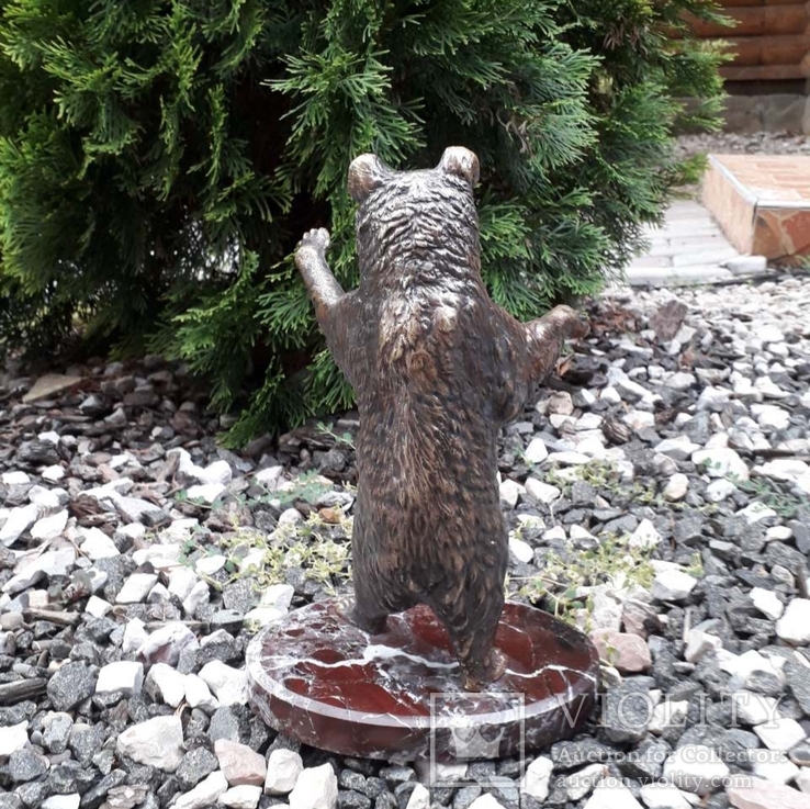 Медведь бронза (Bear bronze), фото №7