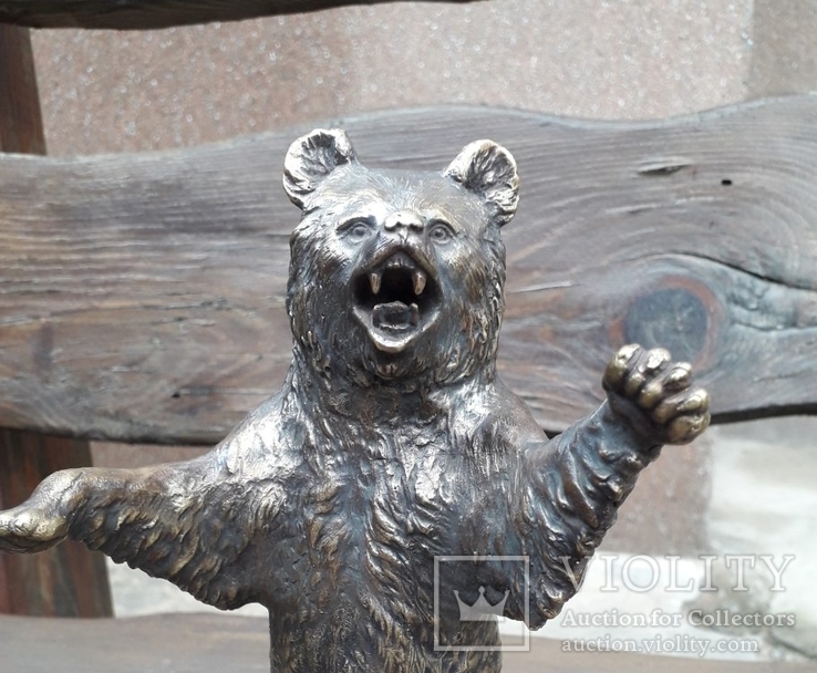 Медведь бронза (Bear bronze), фото №8