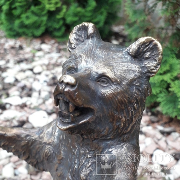 Медведь бронза (Bear bronze), фото №10