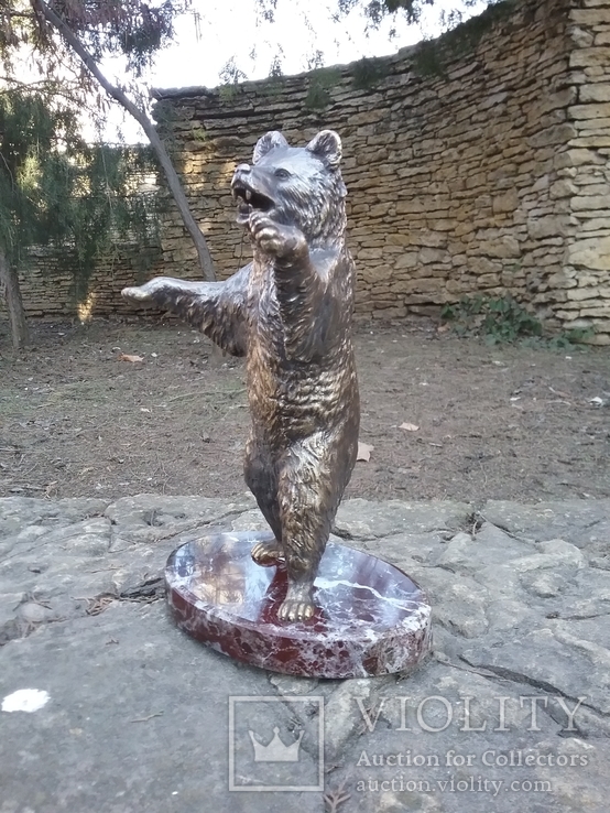 Медведь бронза (Bear bronze), фото №11