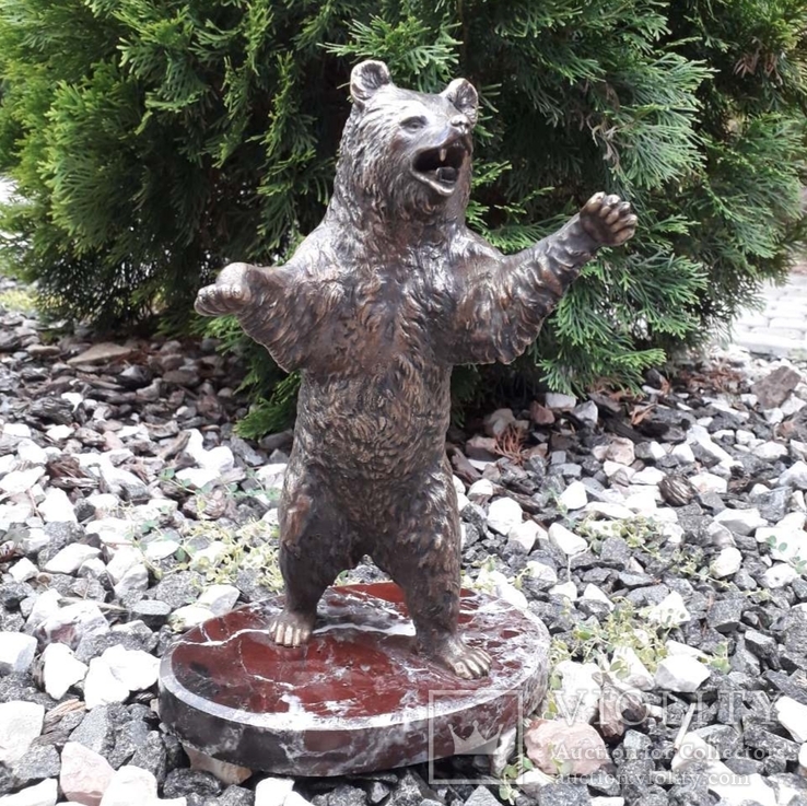 Медведь бронза (Bear bronze), фото №2