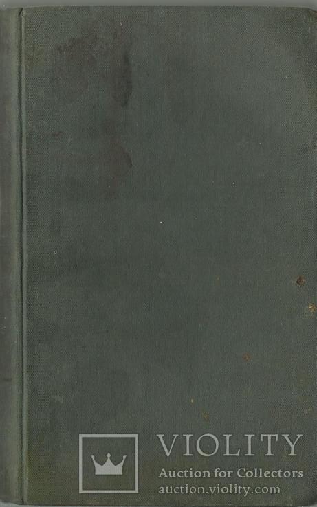 Рідкісне видання 1880 року польською мовою Поезія, фото №2