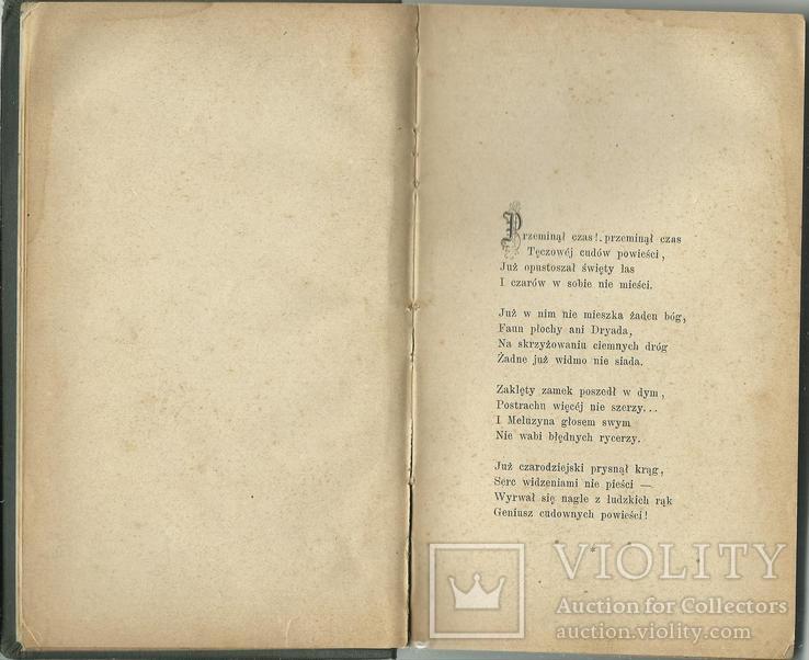 Рідкісне видання 1880 року польською мовою Поезія, фото №4