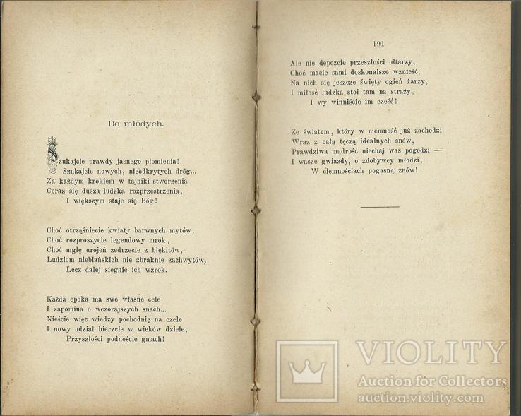 Рідкісне видання 1880 року польською мовою Поезія, фото №5