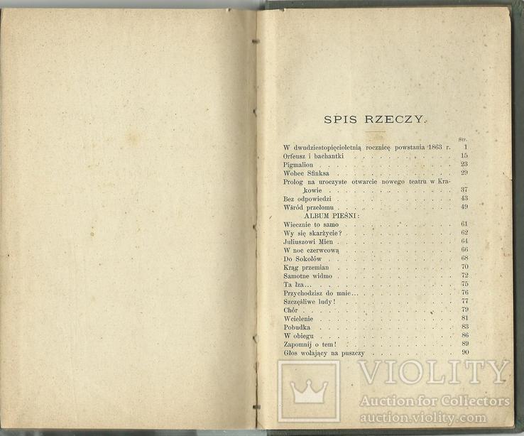 Рідкісне видання 1880 року польською мовою Поезія, фото №6