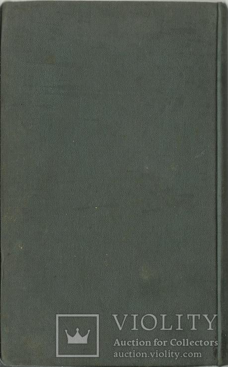 Рідкісне видання 1880 року польською мовою Поезія, фото №8