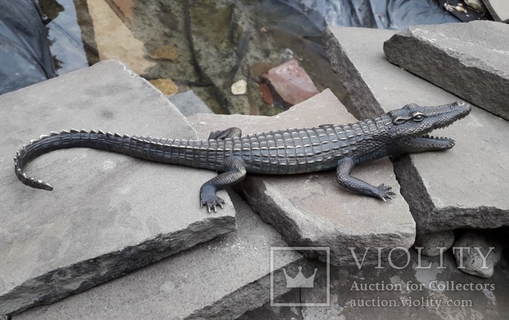 Крокодил бронза  (Crocodile bronze), фото №3