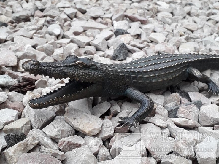 Крокодил бронза  (Crocodile bronze), фото №5