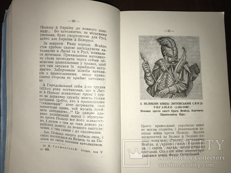 Острозький і його культурна праця Митрополит Іларіон, фото №5