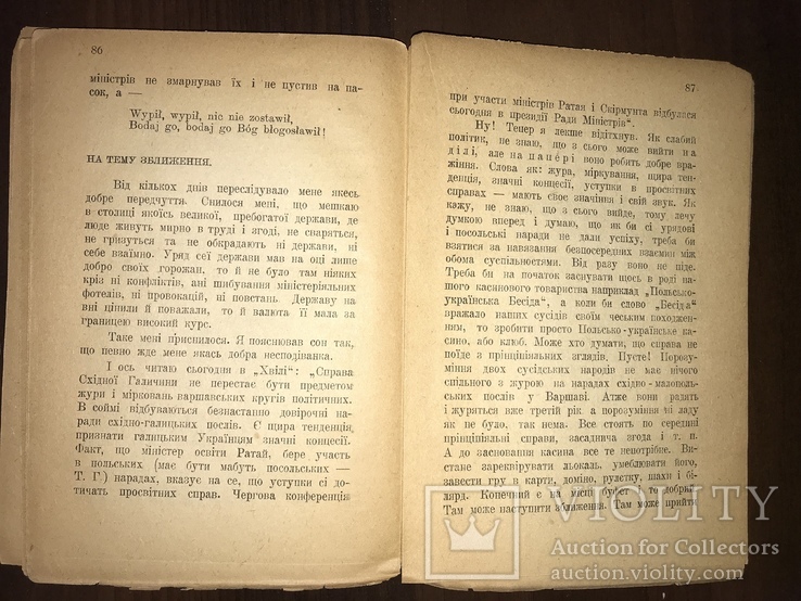 1922 Квіти й бодяче Т. Горобець Нариси з життя, фото №11