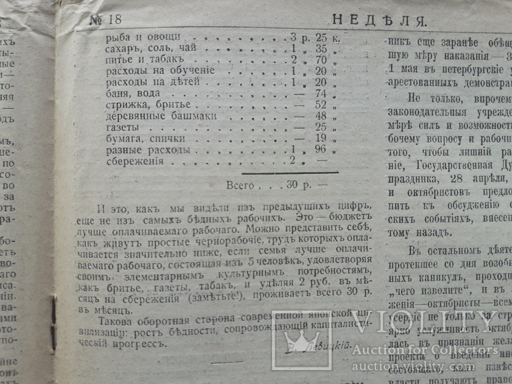 1913 г. Прогресс и бедность в Японии (бюджет семьи), фото №7