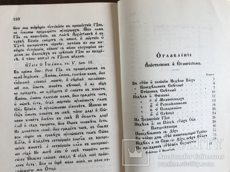  Апостоли і Євангелія Українською мовою, фото №10