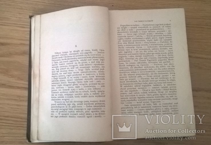 Листи Зигмунда Красінскего. 1917 року книга, фото №7