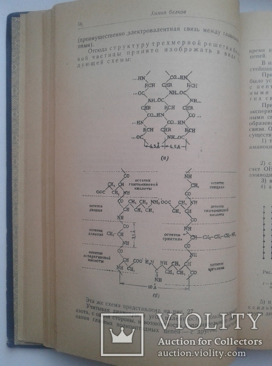 Технология МЕХА. Аронина О. 1948, фото №6