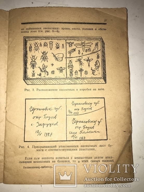 1928 Коллекционер Любитель для сбора и составления коллекции, фото №9