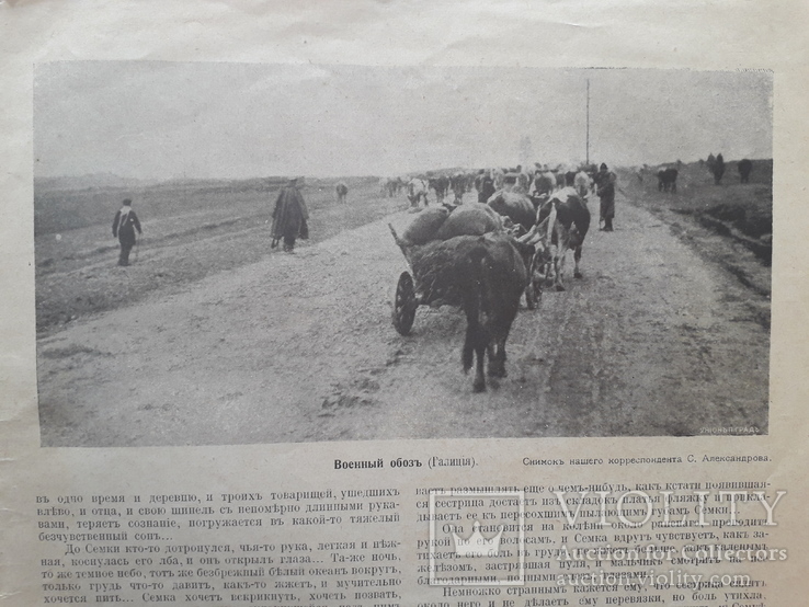 1915 г. Мировая война на Галичине, фото №10