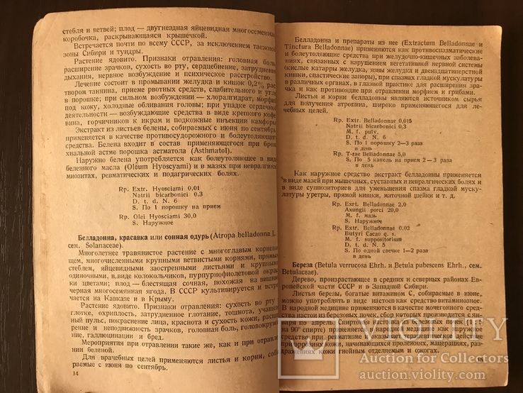 1944 Отечественные лекарственные растения и их Применение, фото №4