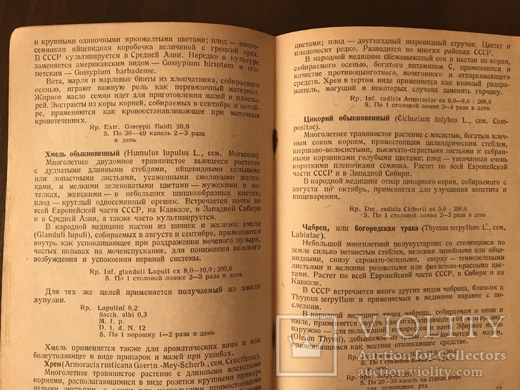 1944 Отечественные лекарственные растения и их Применение, фото №11