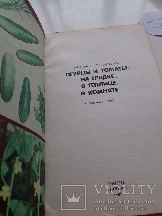 Огурцы и томаты: на грядке, в теплице, в комнате 1989р., фото №3