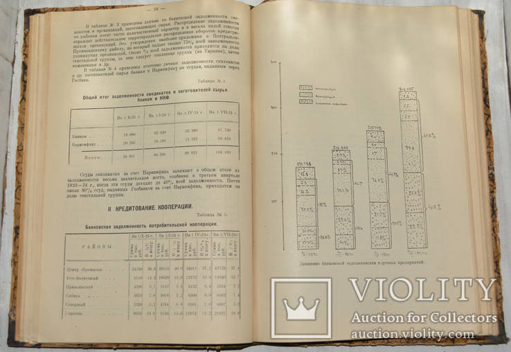 Внутренняя торговля СССР в 1922-23 и 1923-24 операционных годах, фото №7