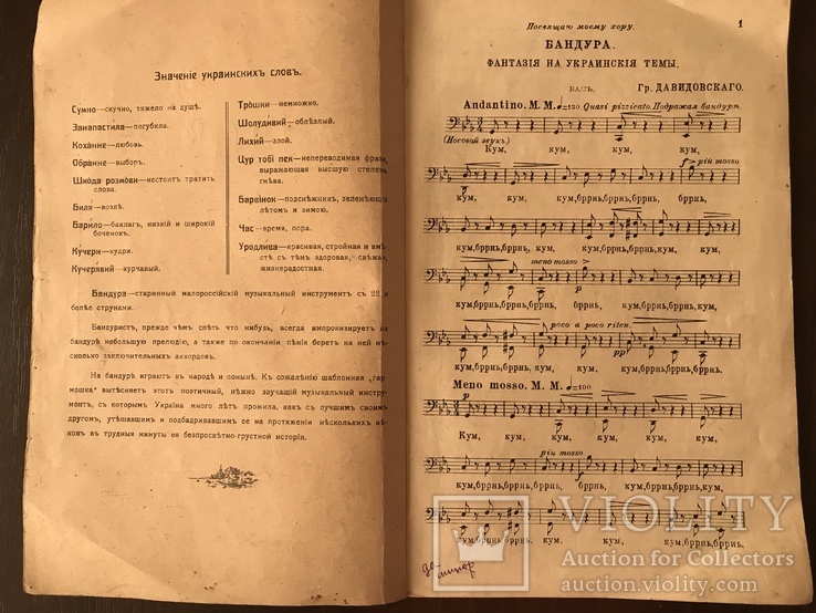 Бандура Украинская Фантазия до 1917 года, фото №3