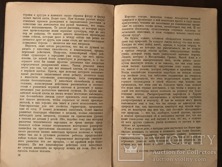 1946 Энгельс Роль труда в превращении обезьяны в человека, фото №6