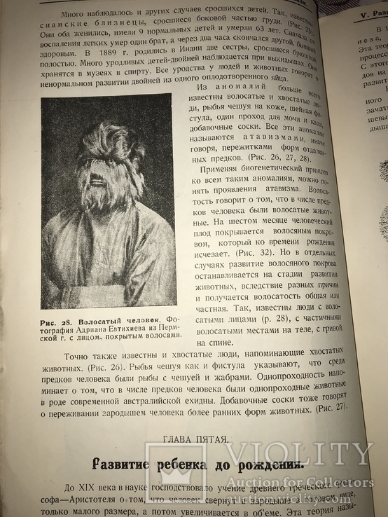 1927 Зарождение и организация человека, фото №11