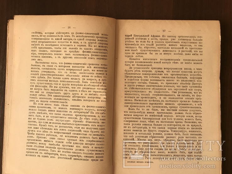 1914 Эволюция живых Существ Динозавры, фото №7