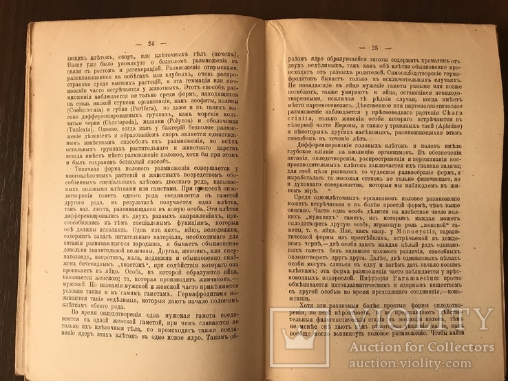 1914 Эволюция живых Существ Динозавры, фото №8