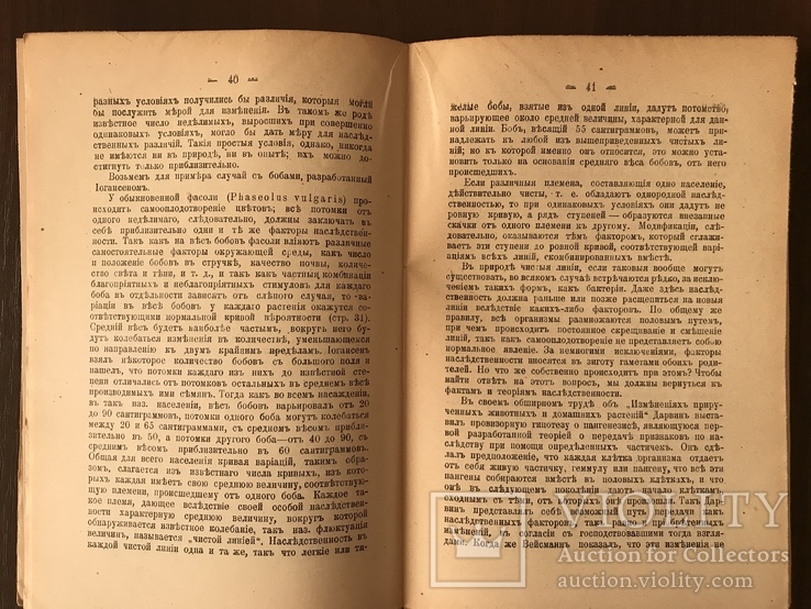 1914 Эволюция живых Существ Динозавры, фото №10