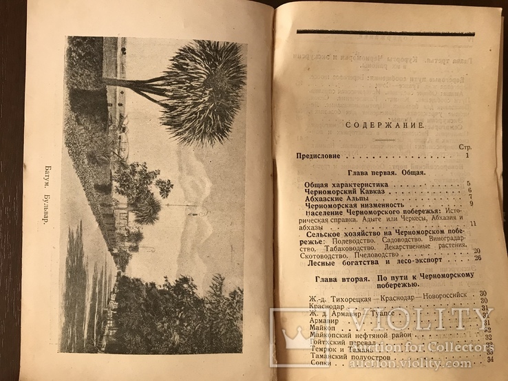 1925 Черноморское побережье, фото №7