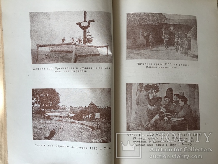 1931 Українське Військо УСС Червона калина, фото №6