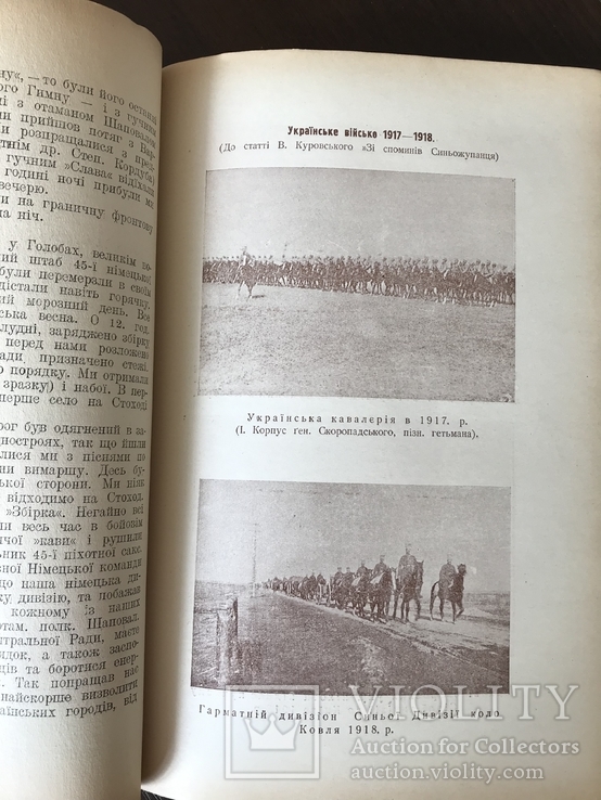 1931 Українське Військо УСС Червона калина, фото №2