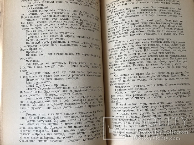 1931 Українське Військо УСС Червона калина, фото №7