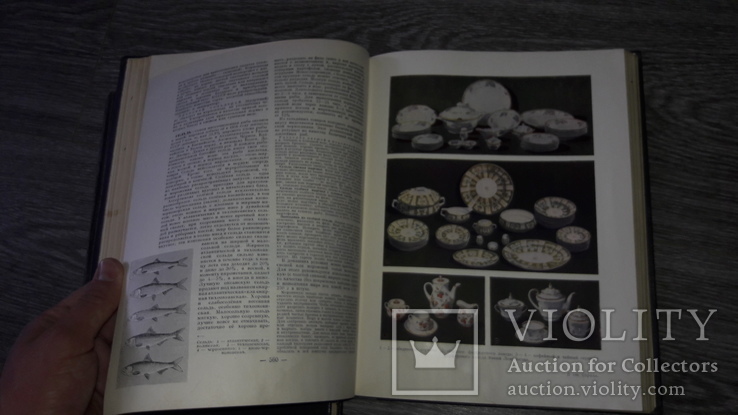 Краткая энциклопедия домашнего хозяйства   2 тома 1959г., фото №6