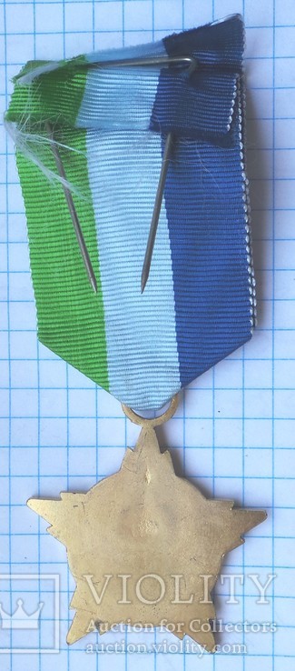 Сирия. Медаль За отличную боевую подготовку., фото №3