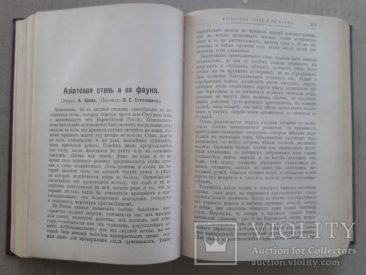 1892 г. Из Киевской губернии (очерк А. И. Воейкова) г. Смела, фото №5