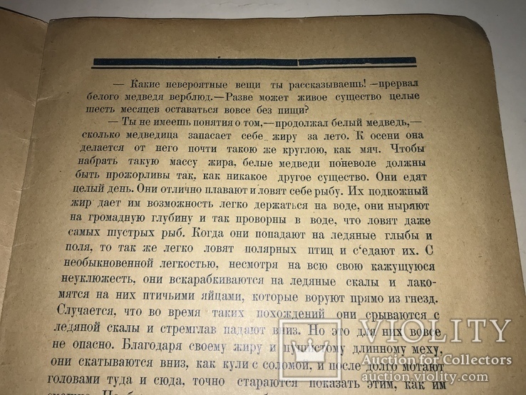 1923 Приключения Медведя детская книга с иллюстрациями, фото №9